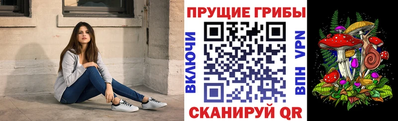Галлюциногенные грибы Cubensis  хочу наркоту  Алушта 