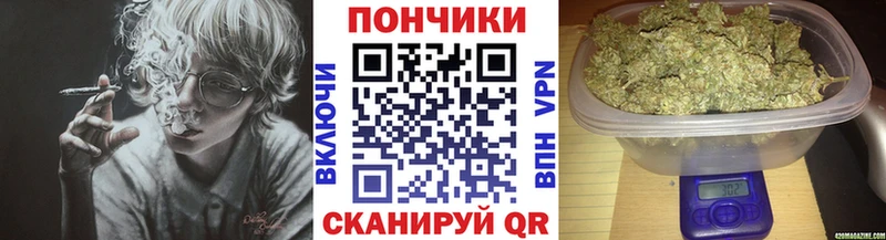 Шишки марихуана OG Kush  Алушта 