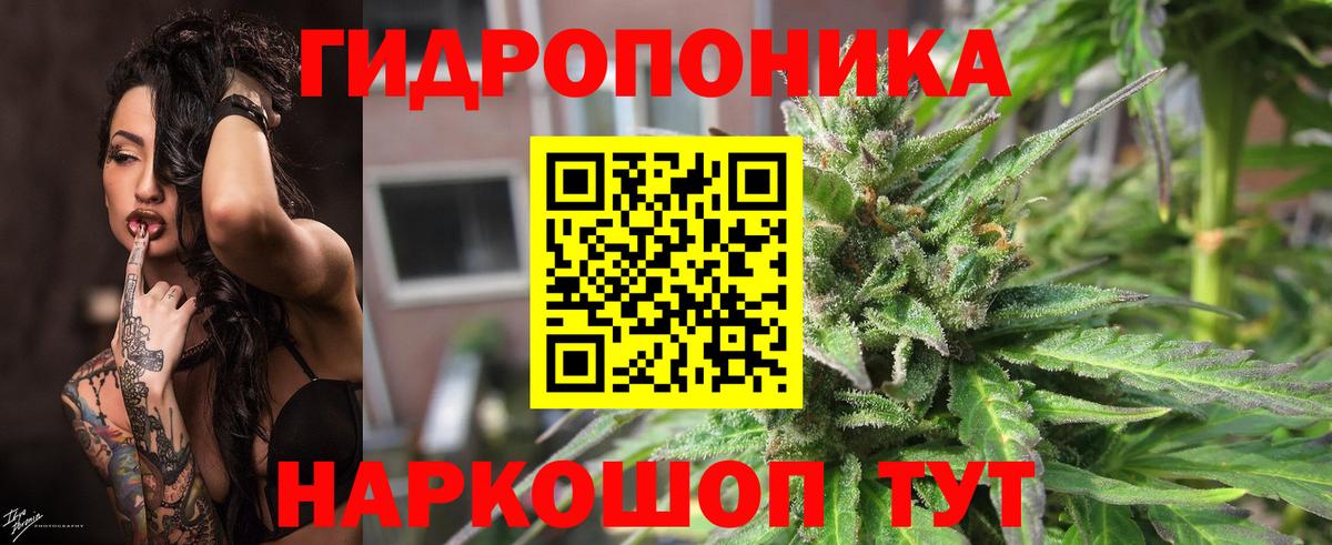 Марихуана THC 21%  Вход с VPN  Алушта  МАРИХУАНА THC 21%  МАРИХУАНА сатива  Бошки марихуана конопля 
